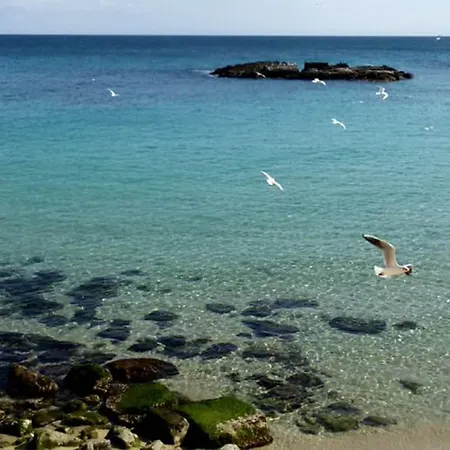 La Corvetta 2* Monopoli